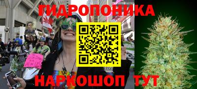 ГАЛЛЮЦИНОГЕННЫЕ ГРИБЫ Конаково
