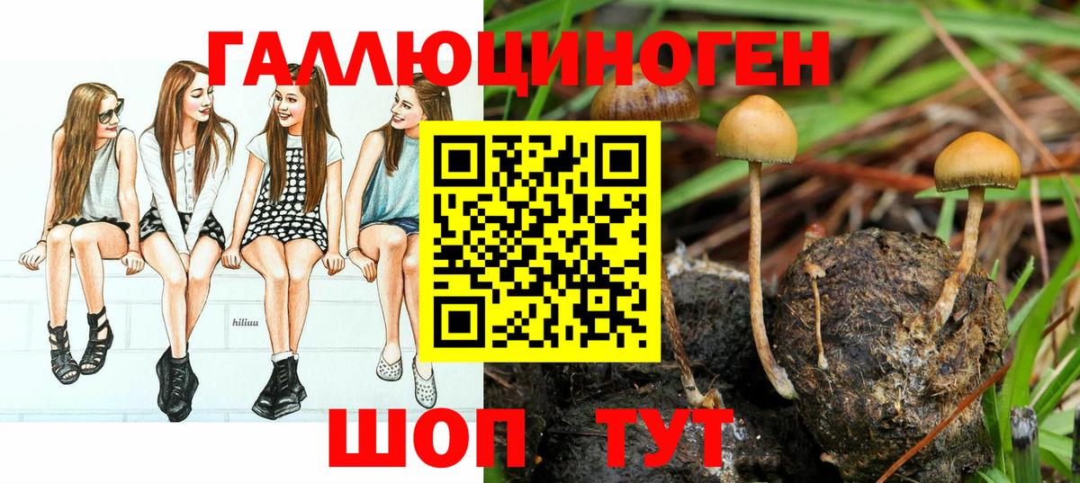 Галлюциногенные грибы MAGIC MUSHROOMS  Вход с VPN  Балашов 