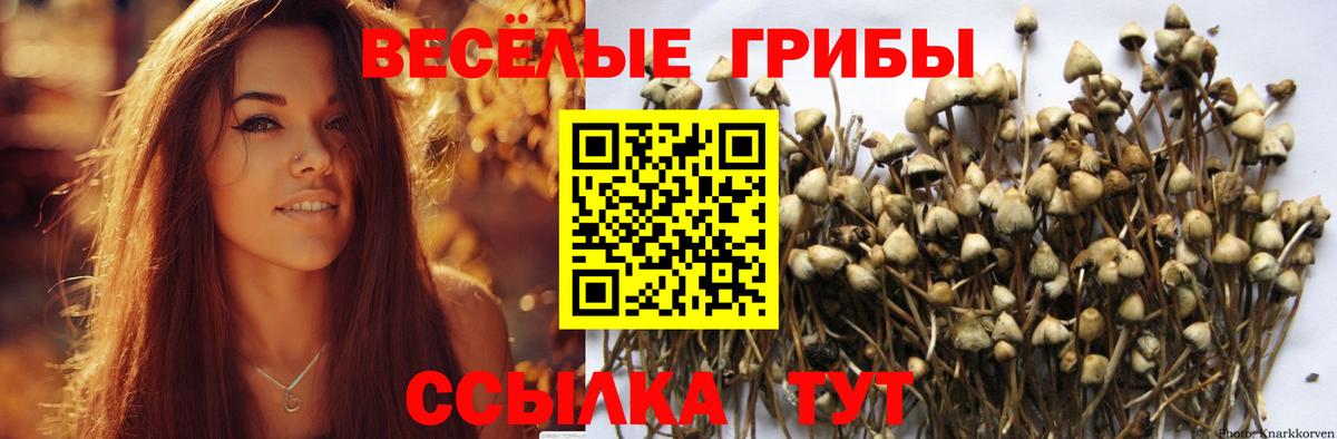 Псилоцибиновые грибы прущие грибы Балашов